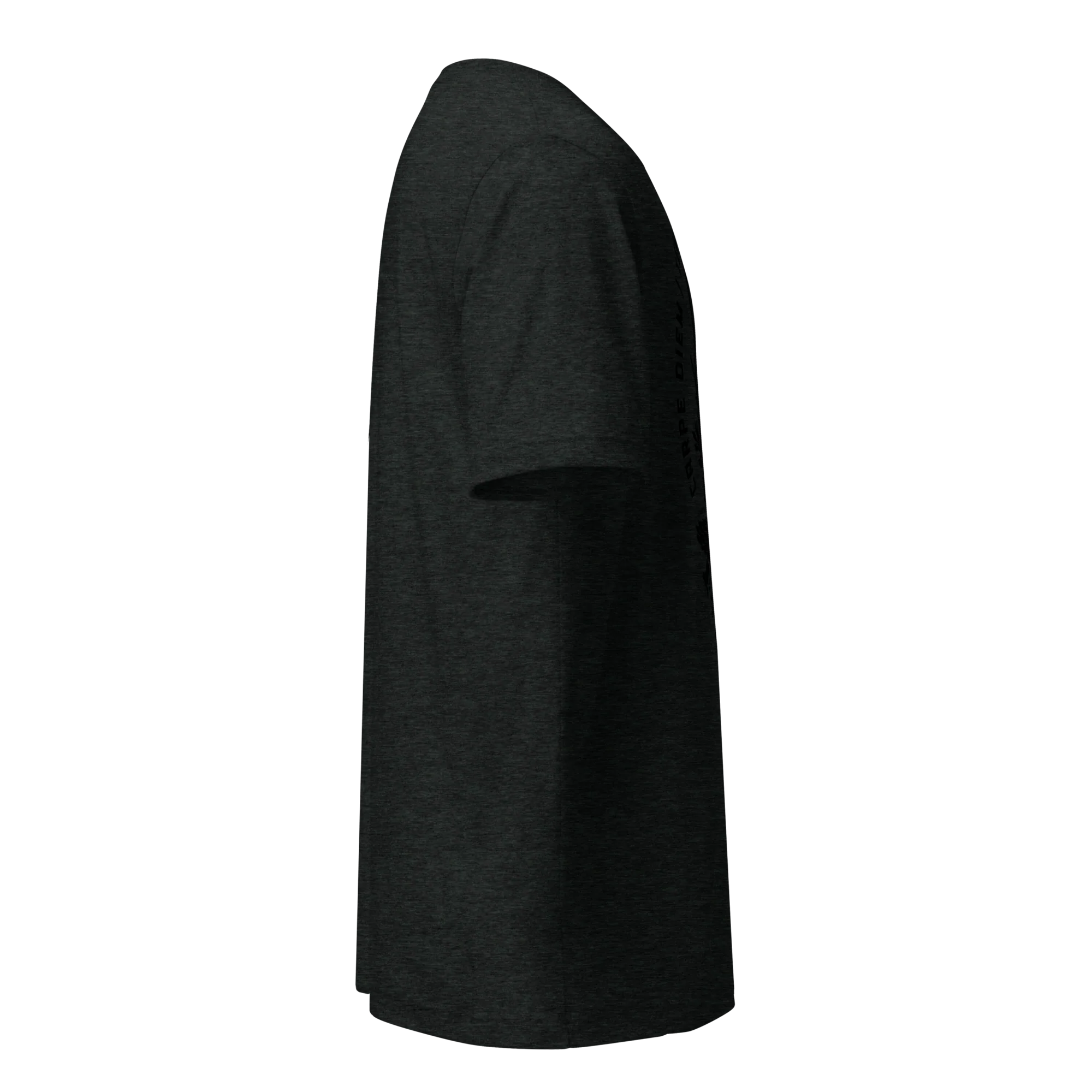 Legionary Tri-Blend t-shirt - Image 14